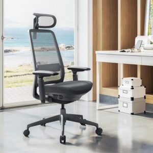 COLAMY Ergonomic Office Chair