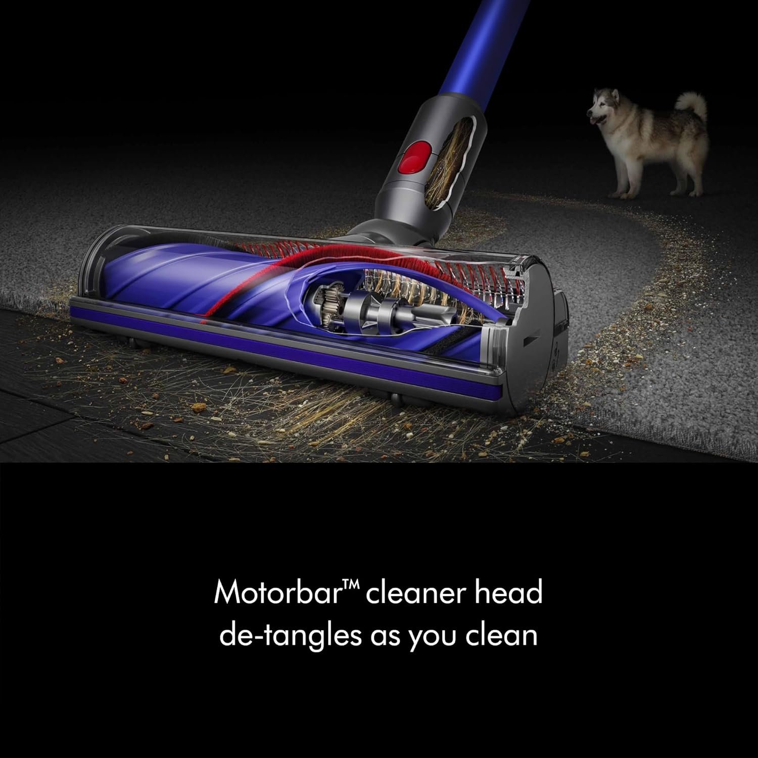 Dyson V11 Origin Cordless Vacuum